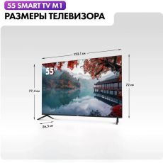 Телевизор Haier Smart TV M1 55